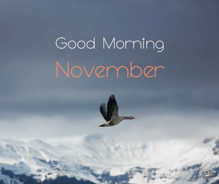 Good Morning, November.