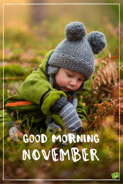 Good Morning, November! | Birthday Wishes Expert Good Morning, November!