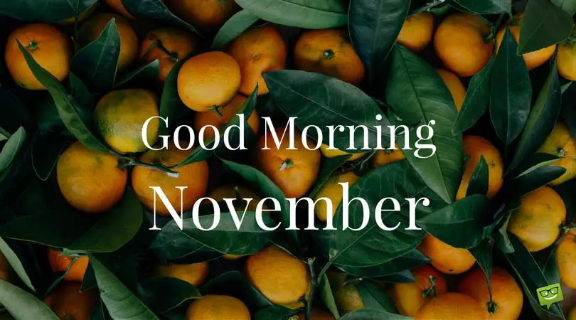 Good Morning, November Good Morning, November