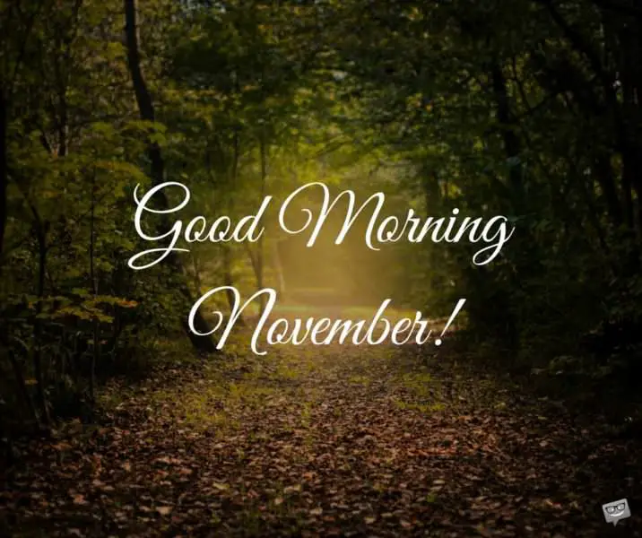 Good Morning + Hello, November!