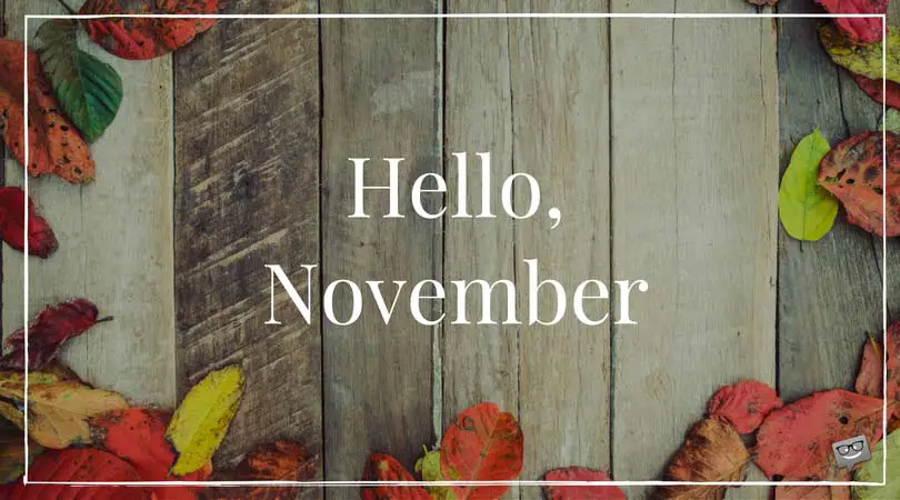 Good Morning + Hello, November!