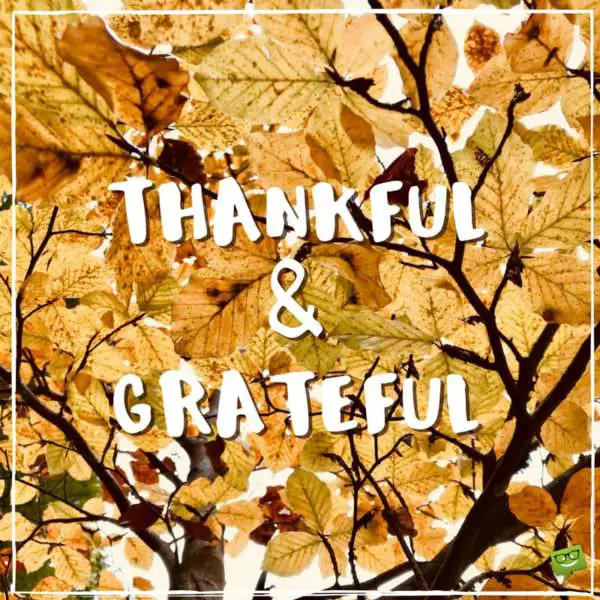 Thankful and grateful.