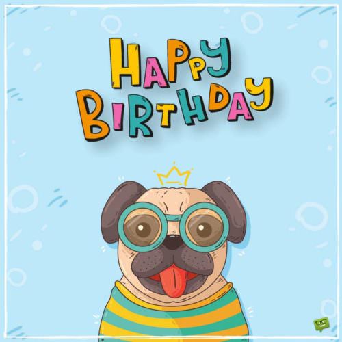 pug birthday wishes birthday wishes pug birthday wishes birthday wishes