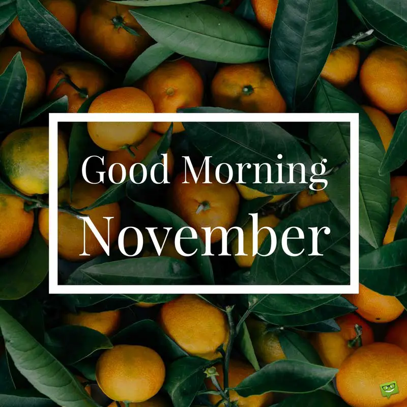 Good Morning, November.