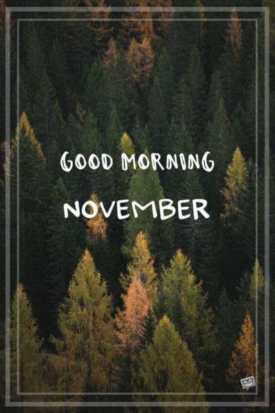 Good Morning, November.