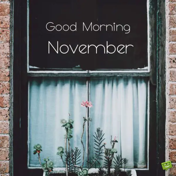 Good Morning, November!