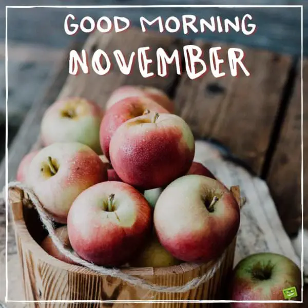 Good Morning, November. | Birthday Wishes Expert Good Morning, November.