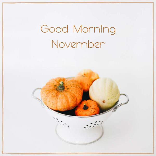 Good Morning, November!