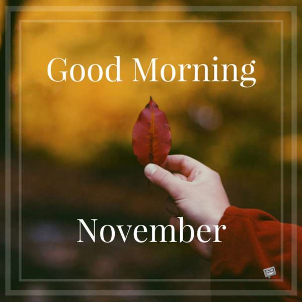 Good Morning, November. | Birthday Wishes Expert Good Morning, November.