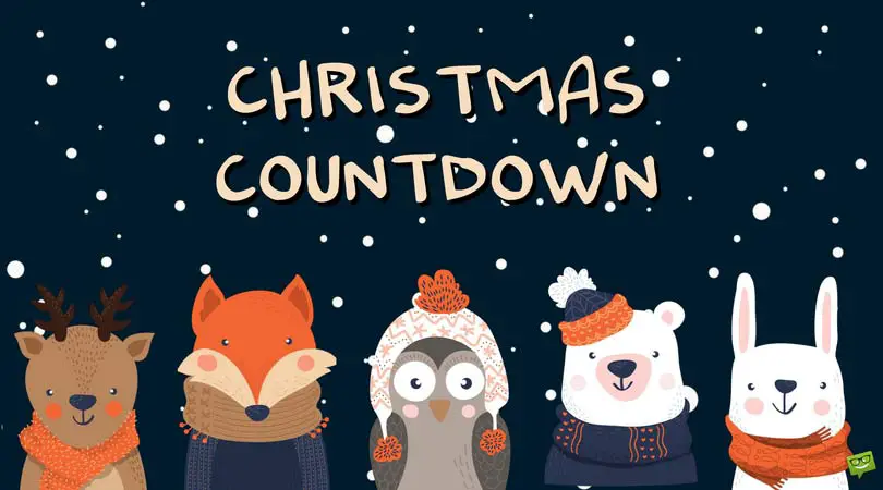 Image result for christmas countdown