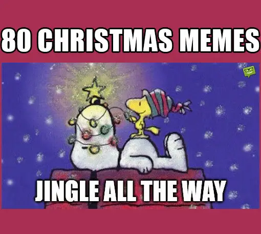 Christmas Memes.