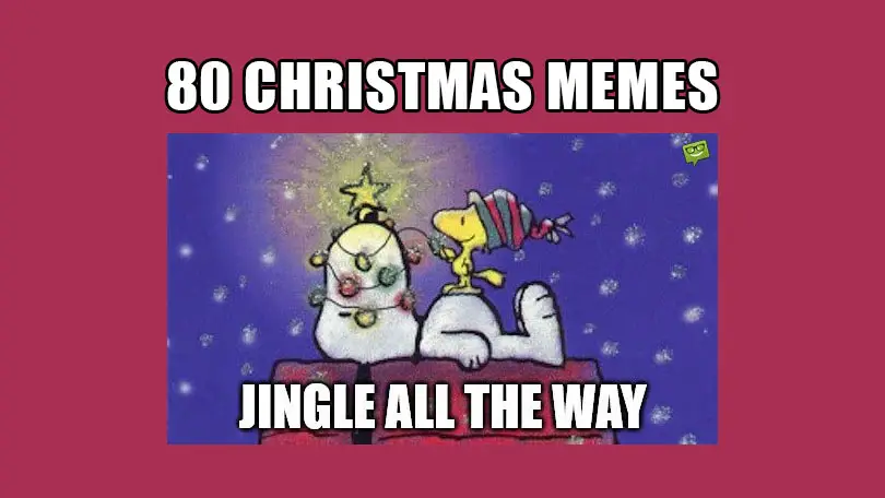 Christmas Memes.