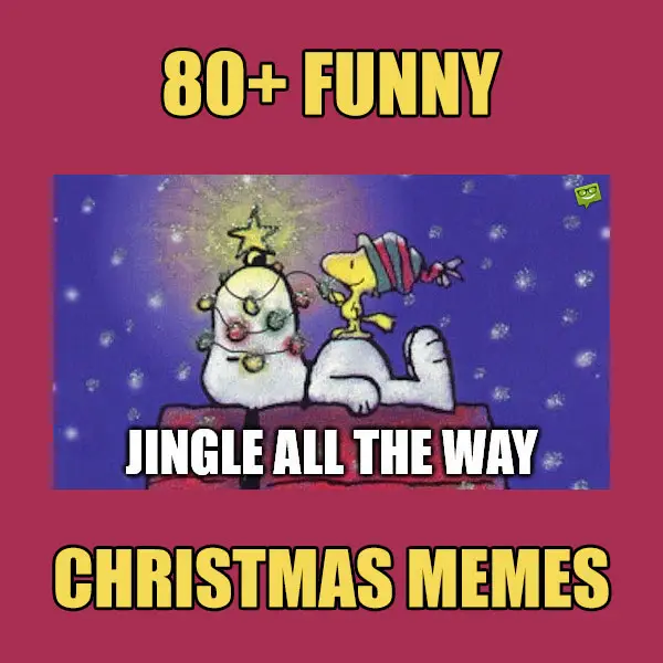 80+ Funny Merry Christmas Memes that Jingle All the Way