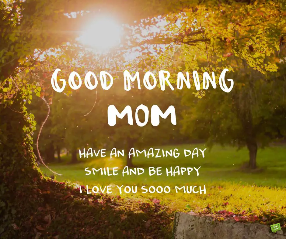 Mom Morning – Telegraph