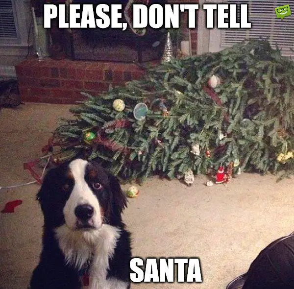 Please, don't tell Santa.