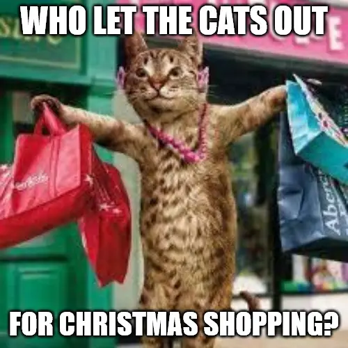 Cat Christmas shopping Meme.