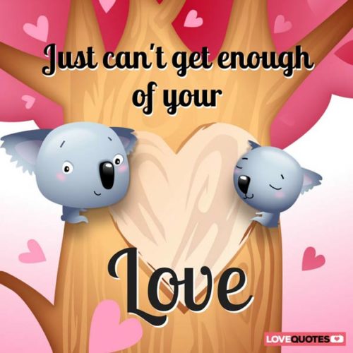 Just can | Birthday Wishes Expert't get enough of your love. Just can't get enough of your love.