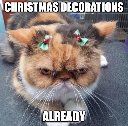 Grumpy cat Christmas meme - Christmas decorations already.
