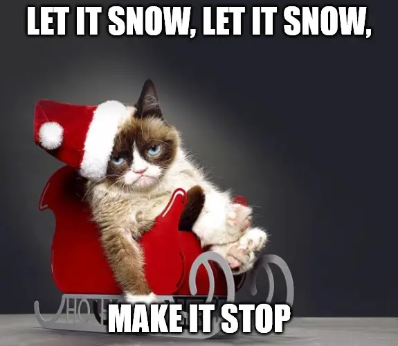 Grumpy cat Christmas meme - let it snow, let it snow, make it stop