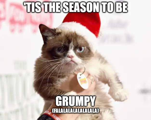 Grumpy cat Christmas meme - tis the season to be grumpy