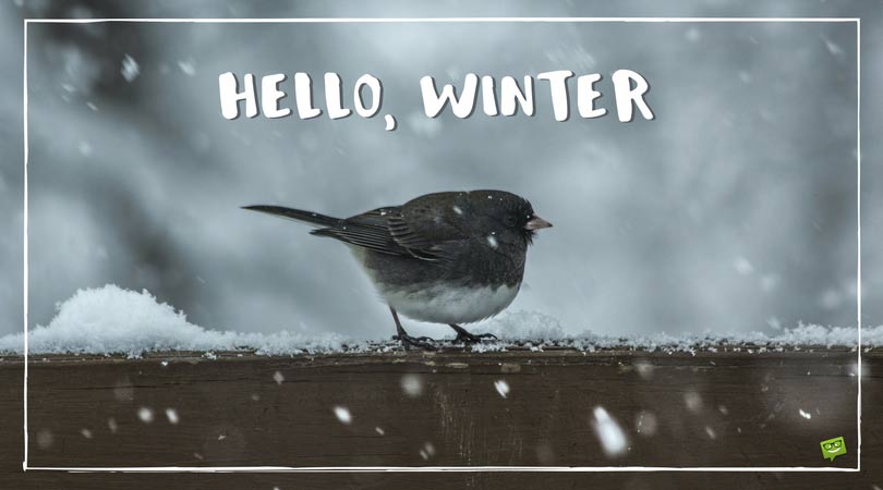 Hello, Winter! Quotes and Images to Share