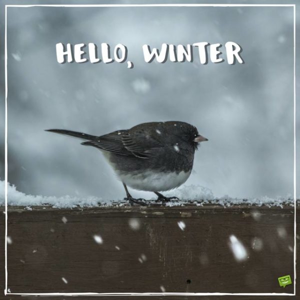Hello, Winter. | Birthday Wishes Expert Hello, Winter.