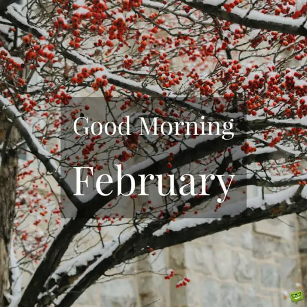 Good Morning, February.