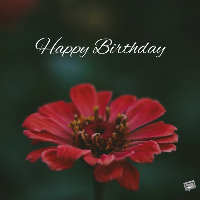 Happy Birthday Red Flower