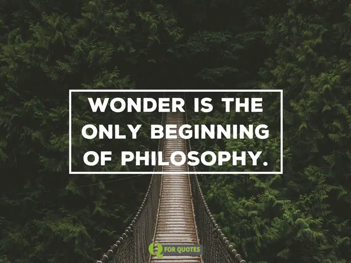 Wonder is the only beginning of philosophy. Plato