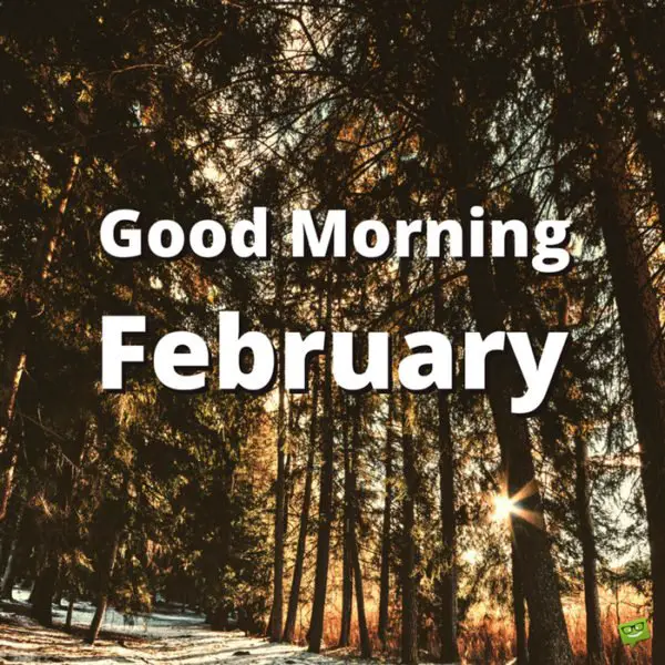 Good Morning, February.