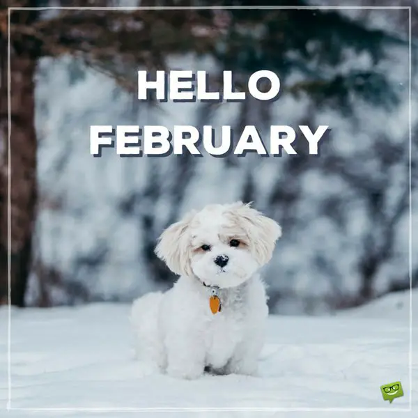 Hello, February.