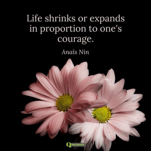 Top 20 Inspirational Quotes