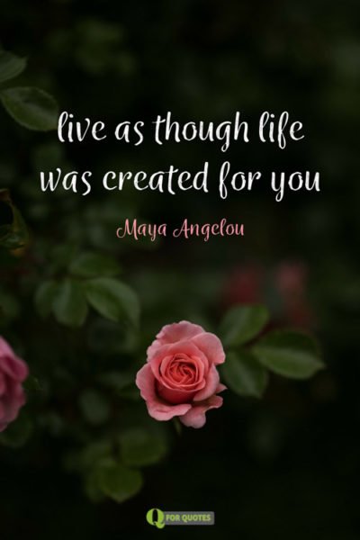 101 Maya Angelou Quotes To Make You Feel Warm Inside