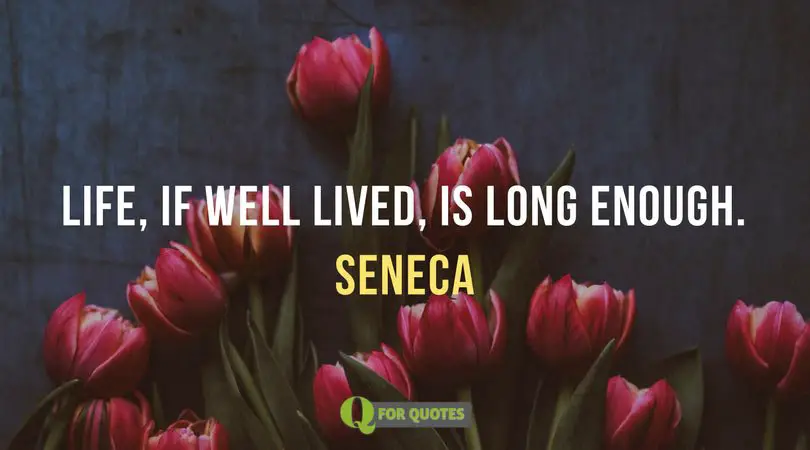 150 Seneca Quotes (that May Help You Reevaluate Life) 150 Seneca Quotes (that May Help You Reevaluate Life)