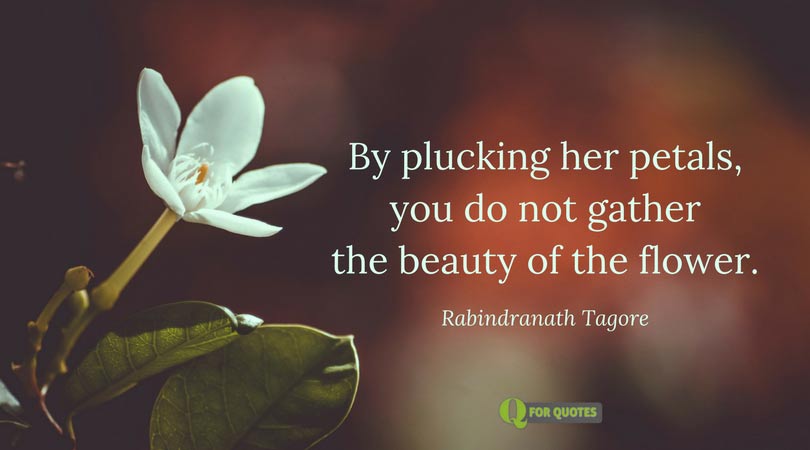 By plucking her petals, you do not gather the beauty of the flower. Rabindranath Tagore