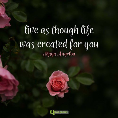 Live as though life was created for you. Maya Angelou