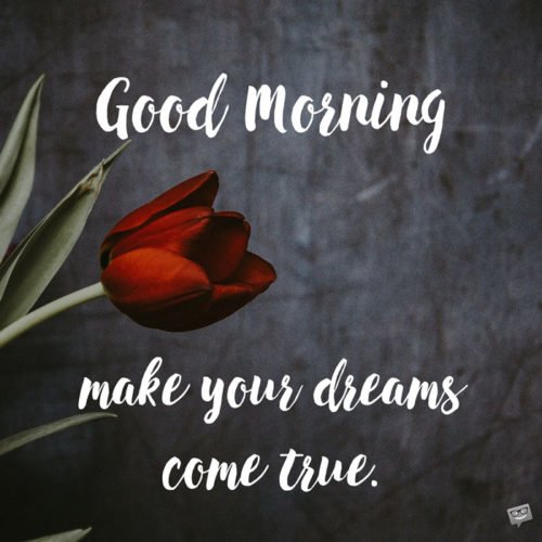 Motivational morning quote for wife on photo of red tulip. | Birthday Wishes Expert Good Morning. Make your dreams come true.