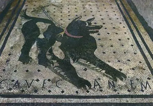 Detail of mosaic floor, UNESCO World Heritage Site,Pompeii