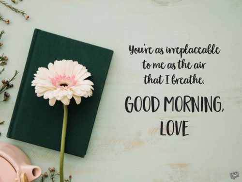 You're as irreplaceable to me as the air that I breathe. Good Morning, Love.