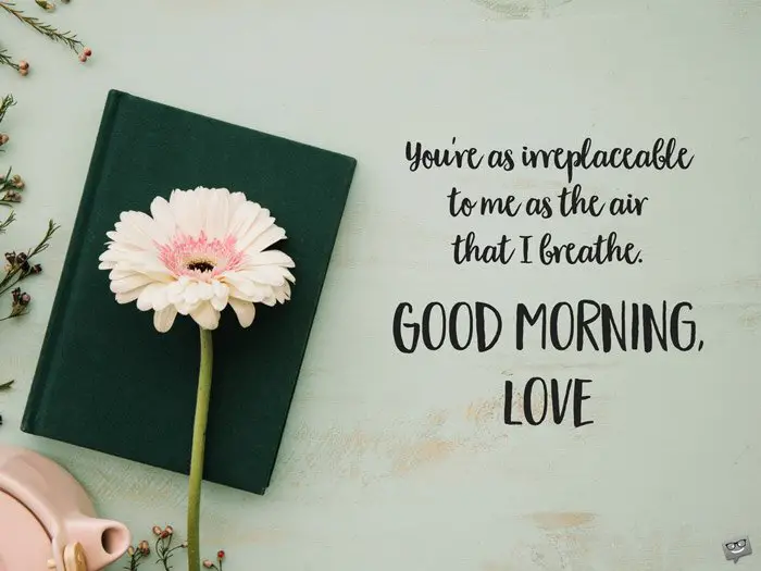 You | Birthday Wishes Expert're as irreplaceable to me as the air that I breathe. Good Morning, Love. You're as irreplaceable to me as the air that I breathe. Good Morning, Love.