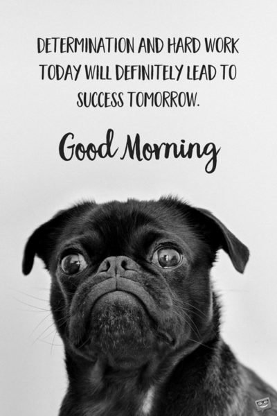 Determination and hard work today will definitely lead to success tomorrow. Good Morning. | Birthday Wishes Expert Determination and hard work today will definitely lead to success tomorrow. Good Morning.