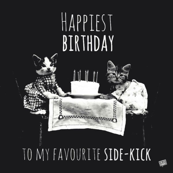 Happiest Birthday to my favorite side-kick.