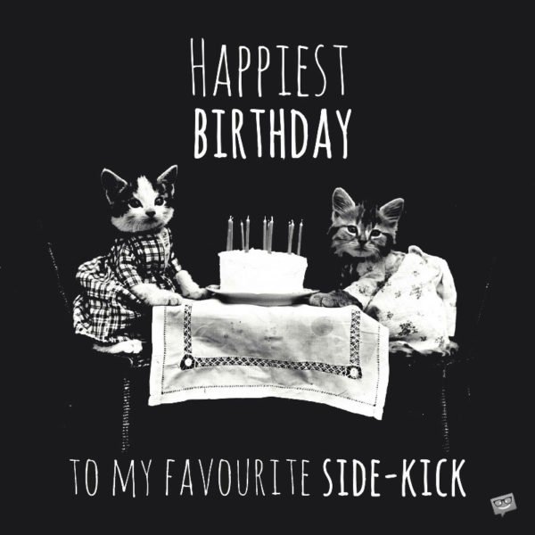 Happiest Birthday to my favorite side-kick. | Birthday Wishes Expert Happiest Birthday to my favorite side-kick.