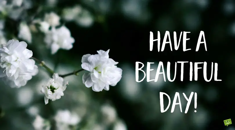 42 Good Morning Quotes for Instagram 42 Good Morning Quotes for Instagram