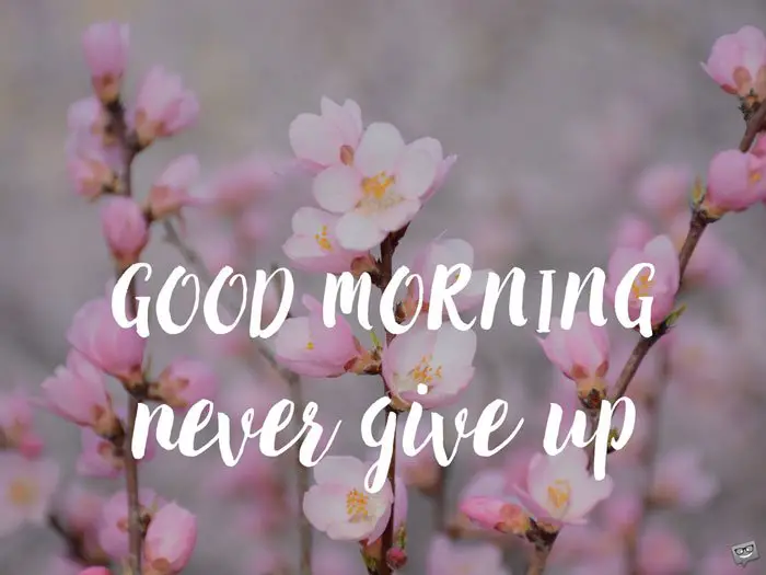 Good Morning. Never give up.