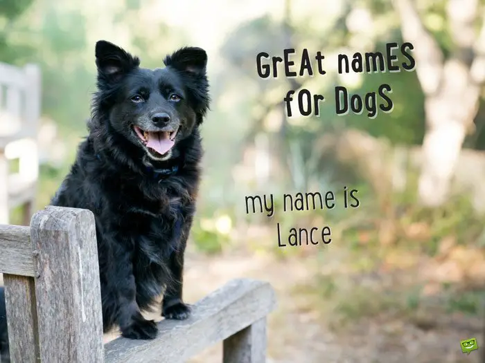 My name is Lance.