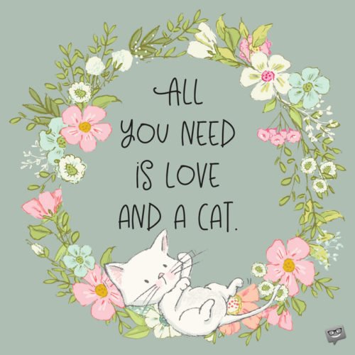 All you need is love and a cat.