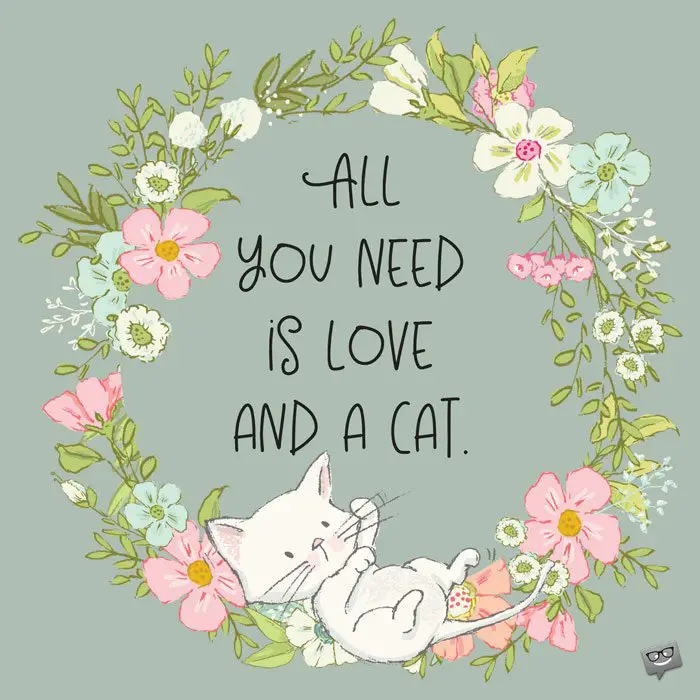 All you need is love and a cat.