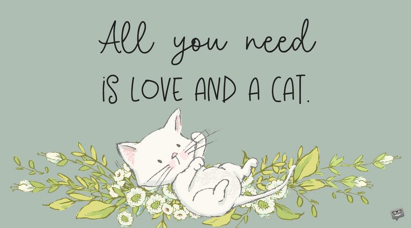 39 Famous Quotes about Cats and the People Who Love them