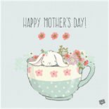Wishes For Those Beloved Women in Our Life Happy Mother's Day.